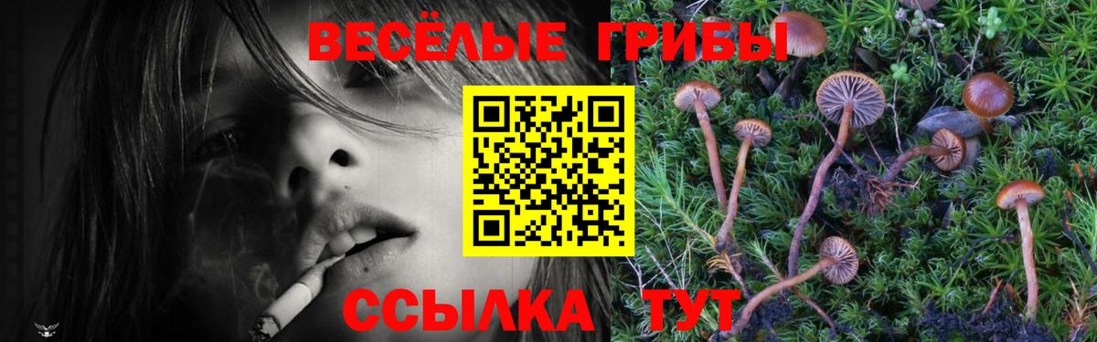 Галлюциногенные грибы прущие грибы Ступино